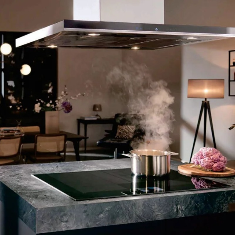 Placa de Inducción Comercial d - Induction Cooker reseña y precio