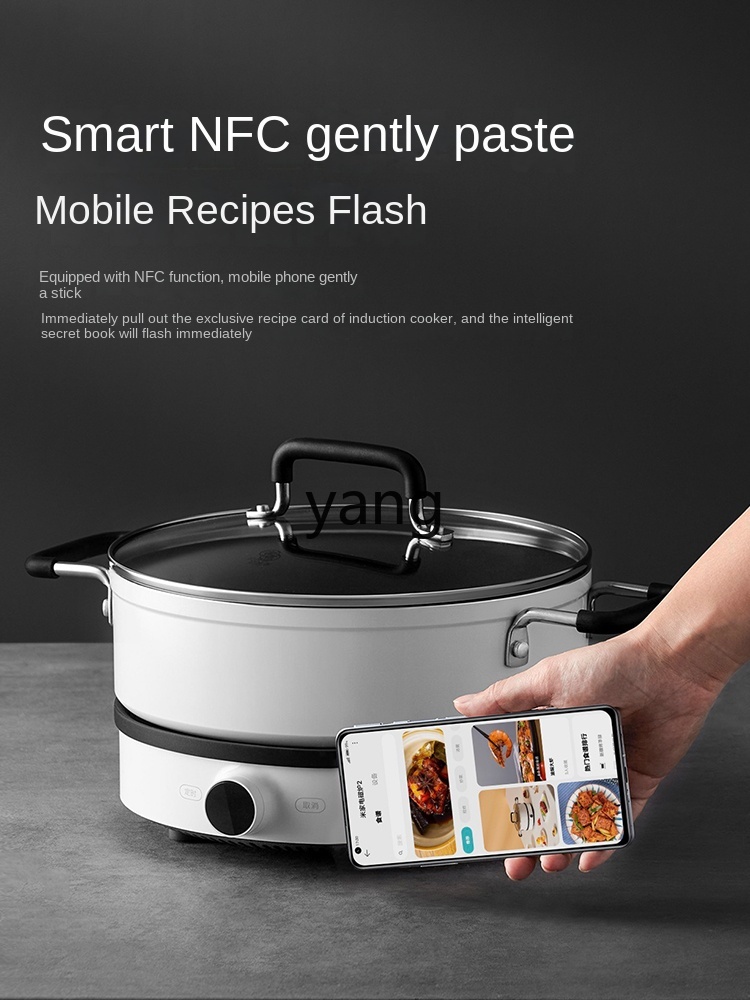 Cocina de Inducción LMM, Multi - Induction Cooker reseña y precio