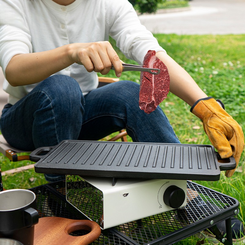 Plato de barbacoa para acampar - Induction Cooker reseña y precio