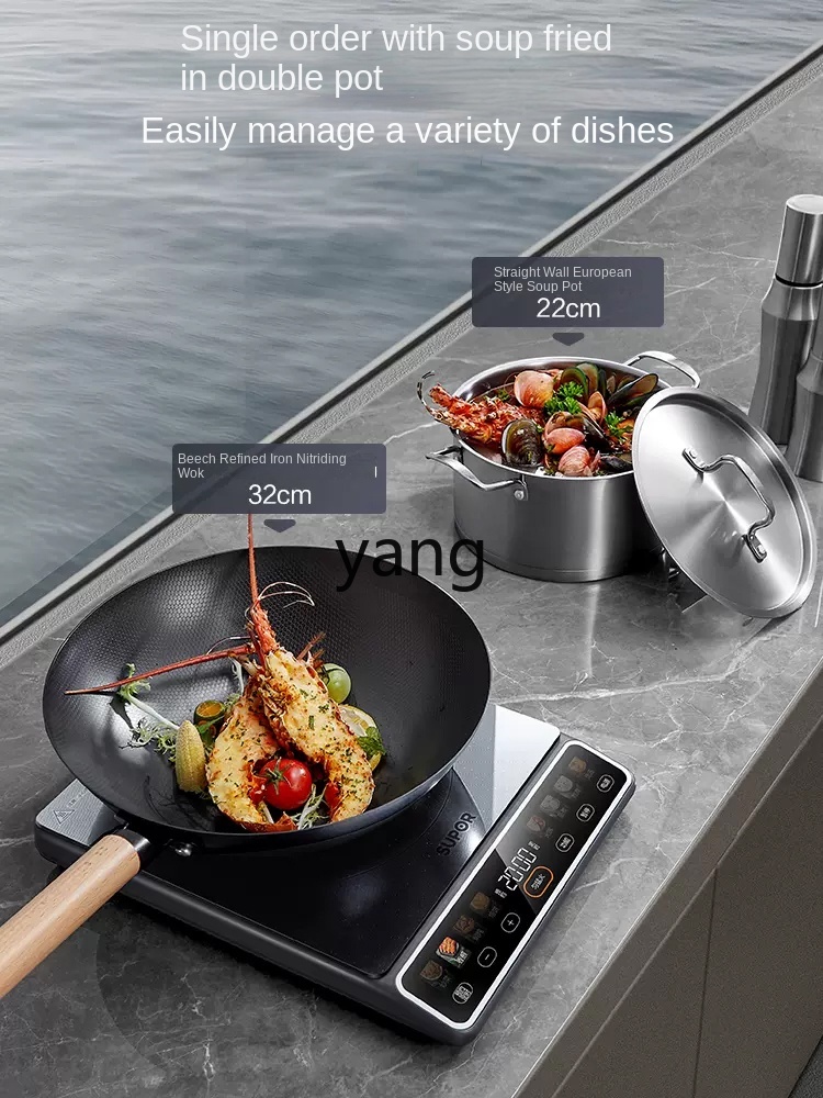 Cocina de Inducción Doméstica  - Induction Cooker reseña y precio